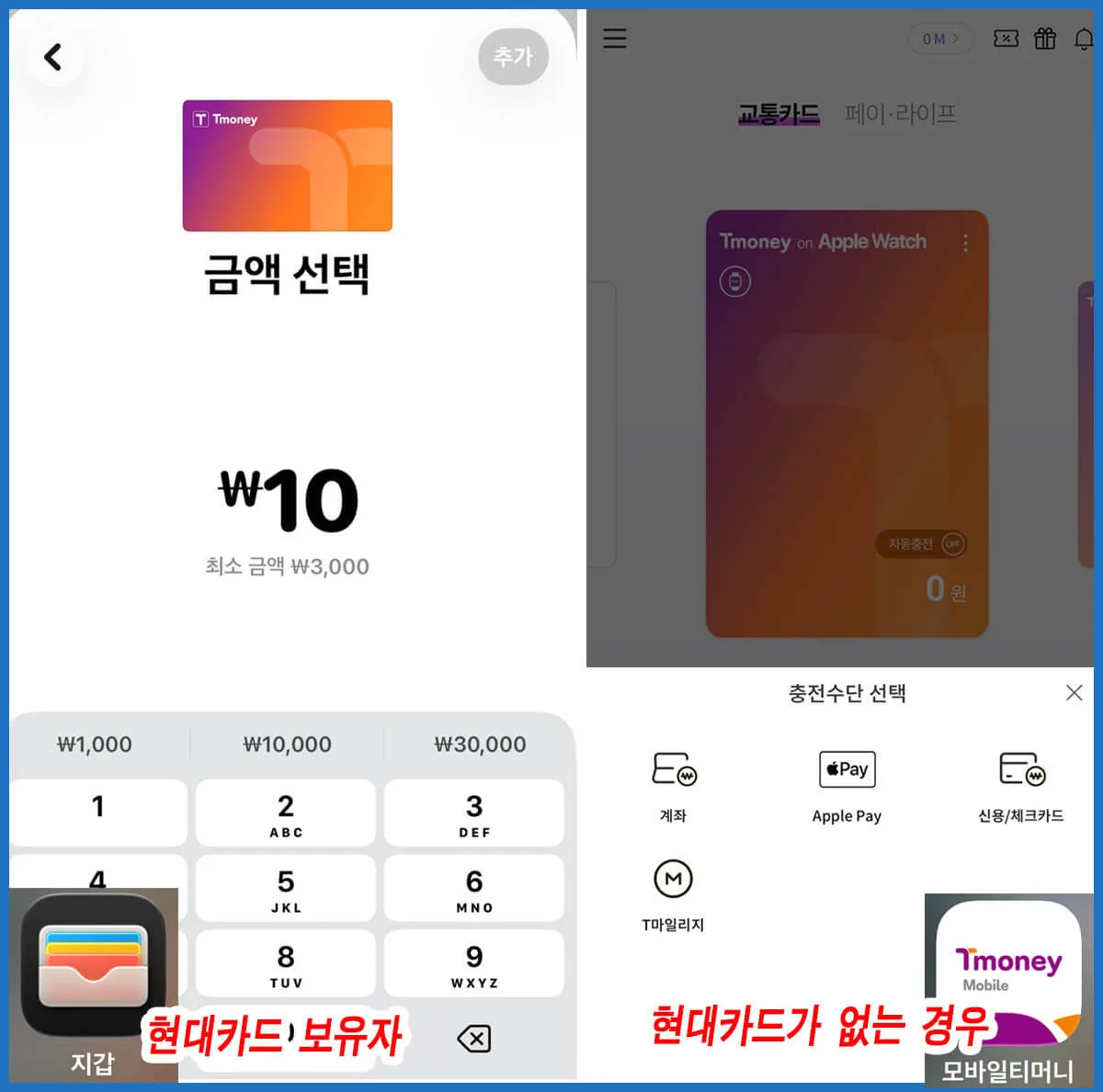 아이폰 교통카드 Tmoney 충전 금액 입력 및 카드 선택 화면