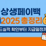 상생페이백 2025 총정리 카드실적 확인부터 지급일정까지