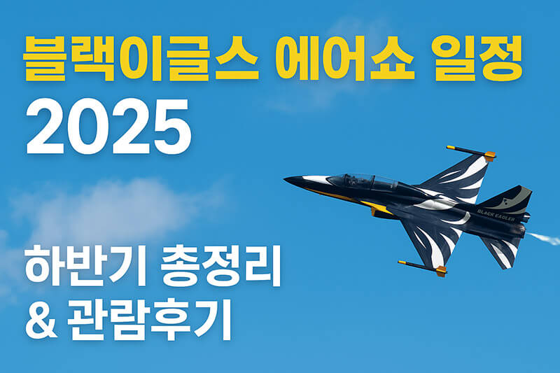 블랙이글스 에어쇼 일정 2025 하반기 총정리와 관람 후기