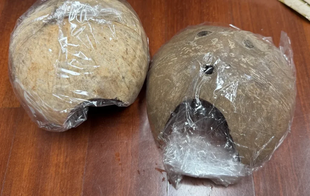 쿠팡에서 구입한 도둑게 코코넛 은신처 2개 세트