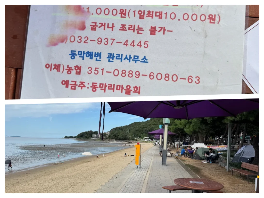 동막해수욕장 파라솔 대여 안내문과 해변 파라솔 설치 모습