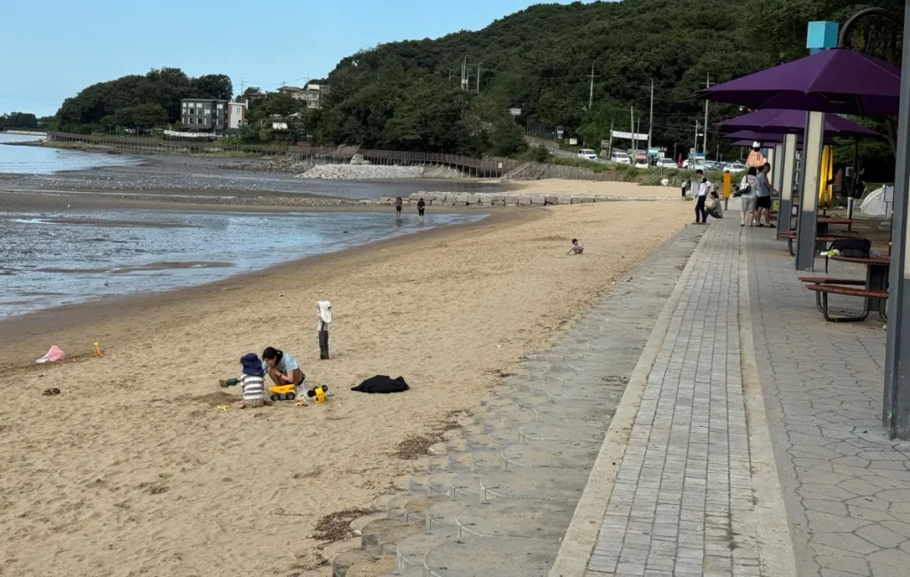 동막해수욕장 해변 산책로와 파라솔이 설치된 모습