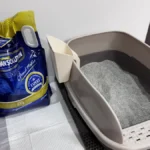 고양이 모래 추천 아메리칸솔루션 벤토나이트 모래 실제 사용 모습