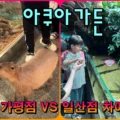 아쿠아가든 가평점 vs 일산점 차이점 비교 – 가평점 1층 실내동물원 모습