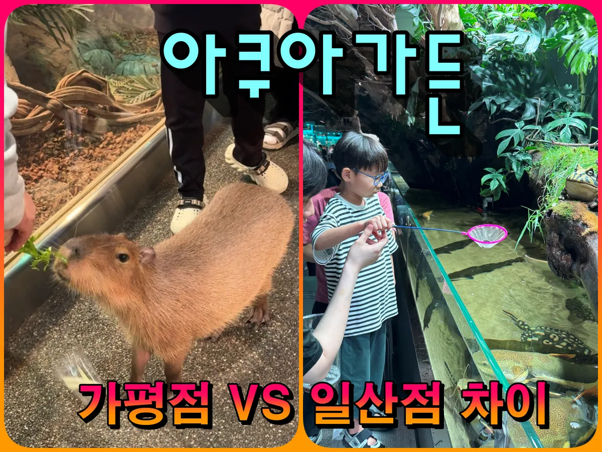 아쿠아가든 가평점 vs 일산점 차이점 비교 – 가평점 1층 실내동물원 모습