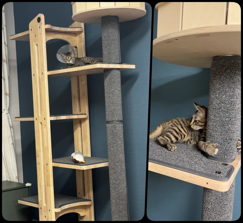 그린웨일 B3 캣타워 카펫 색상 그레이와 스크래쳐 기둥 소재 디테일 이미지