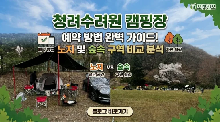 청려수련원 캠핑장 노지와 숲속 구역 비교 썸네일 이미지