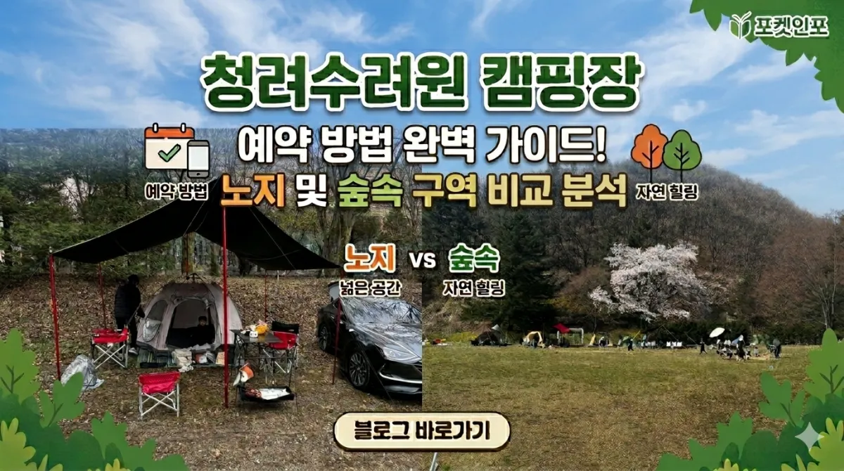 청려수련원 캠핑장 노지와 숲속 구역 비교 썸네일 이미지