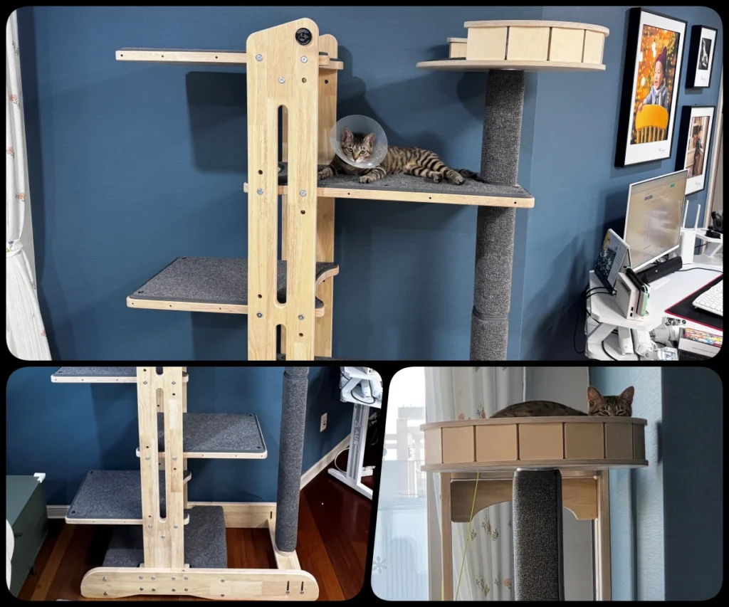 고양이 키우기 전 필수 비용 얼마? 초보 집사 준비 체크리스트 정리 8 고양이 캣타워 대형 사이즈 실사용 모습