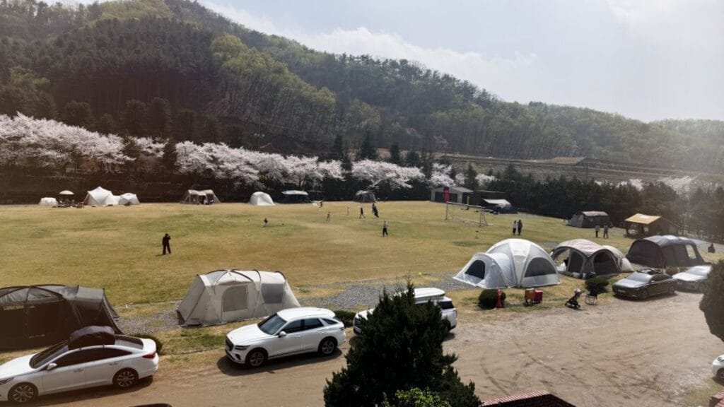 청려수려원 대운동장 잔디 광장 아이 뛰어노는 가족 캠핑 모습