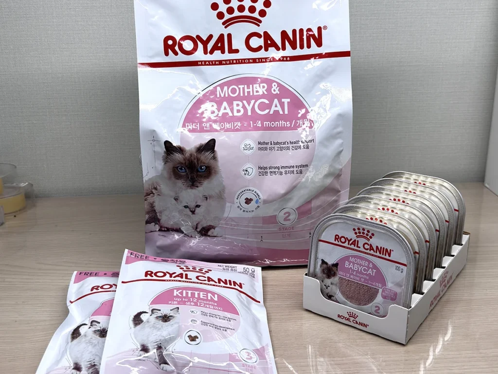 고양이 키우기 전 필수 비용 얼마? 초보 집사 준비 체크리스트 정리 3 고양이 키튼 사료 단계별 로얄캐닌 제품