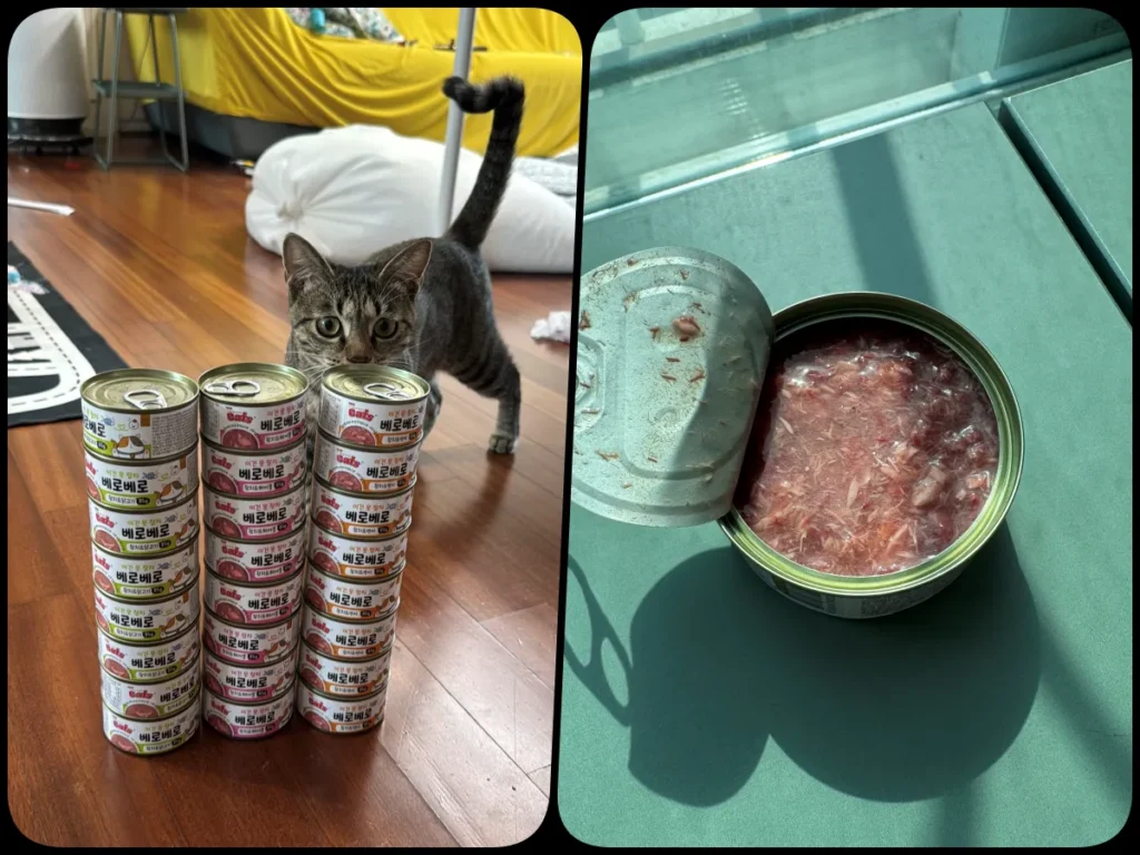 베로베로 고양이 캔 후기, 수분 섭취와 기호성 좋은 3가지 맛 급여기 3 베로베로 고양이 캔 3가지 맛 구성과 초코 급여 전 개봉 모습