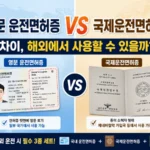 영문 운전면허증과 국제운전면허증 차이 비교