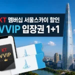 KT 멤버십 서울스카이 할인 VVIP 입장권 1+1