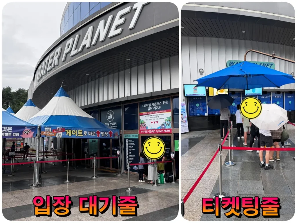 웰리힐리 워터플래닛 이용팁, 입장시간·준비물 정리 2 웰리힐리 워터플래닛 주말 오픈 전 입장 대기줄