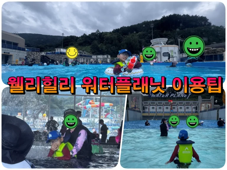 웰리힐리 워터플래닛 이용팁
